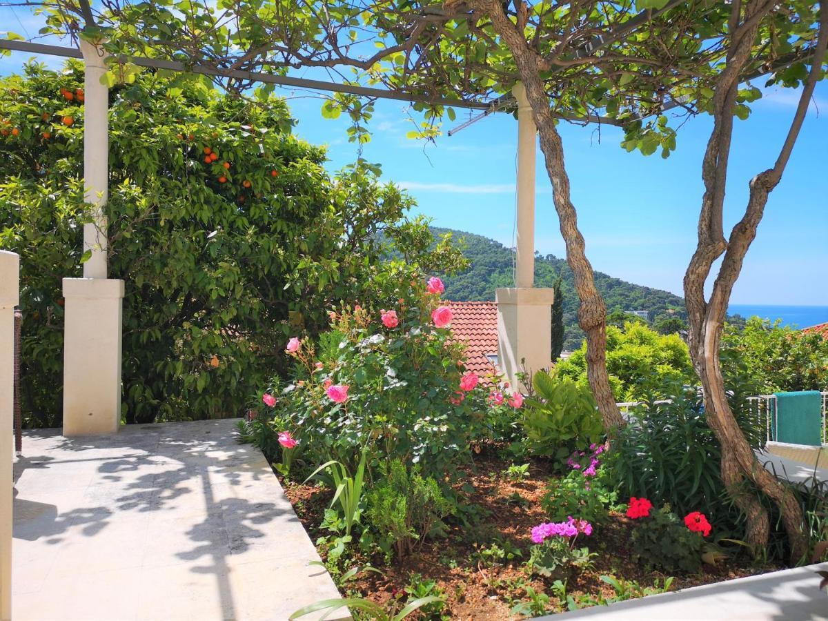 Beautiful Sea View Apartments Dubrovnik Exteriör bild